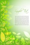 Nature Background with Green Leaves Pattern and Sample Text